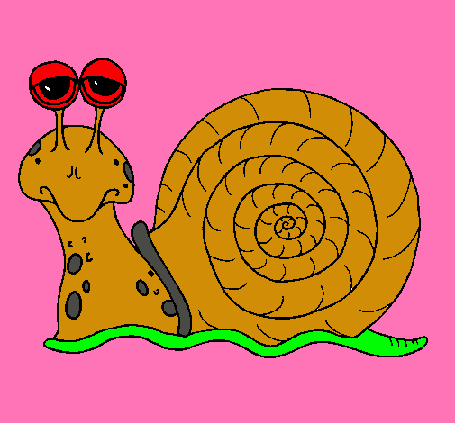 Caracol