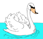 Dibujo Cisne en el agua pintado por Nashel
