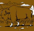 Dibujo Búfalo  pintado por deryam