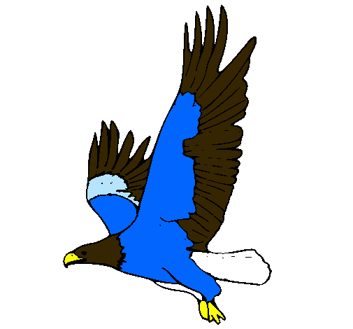 Águila volando