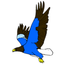 Dibujo Águila volando pintado por Hernan