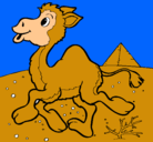 Dibujo Camello pintado por carlos