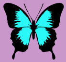 Dibujo Mariposa con alas negras pintado por kiki