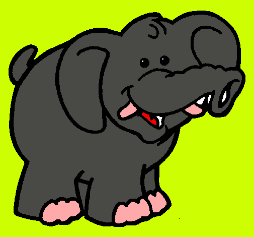 Elefante