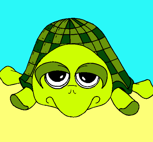 Tortuga