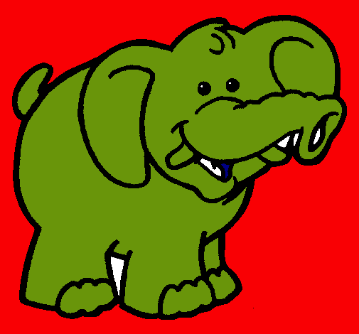 Elefante