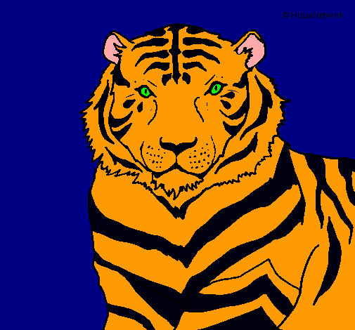 Tigre