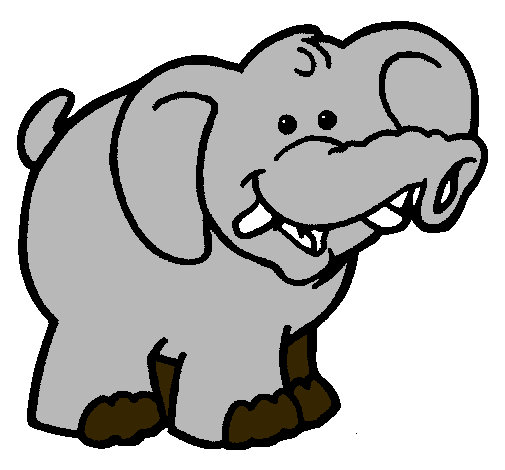 Elefante