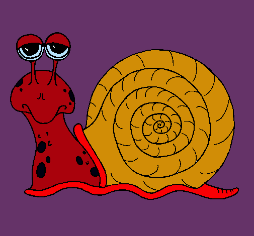 Caracol