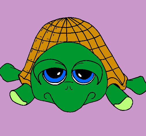 Tortuga