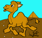 Dibujo Camello pintado por karinadelpilar9