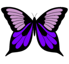 Dibujo Mariposa pintado por karo