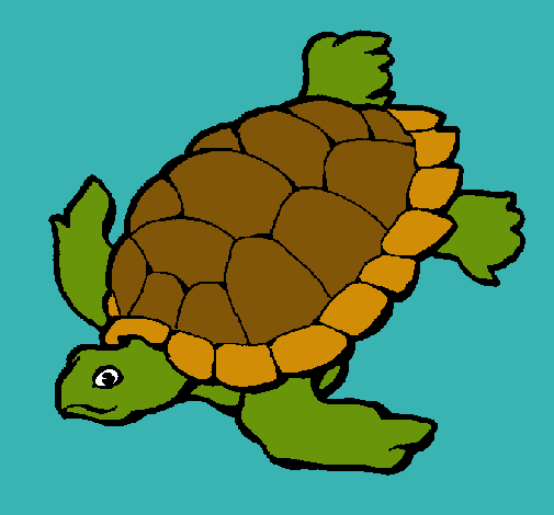 Tortuga