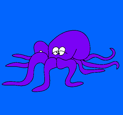 Pulpo