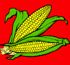 Dibujo Mazorca de maíz pintado por brian