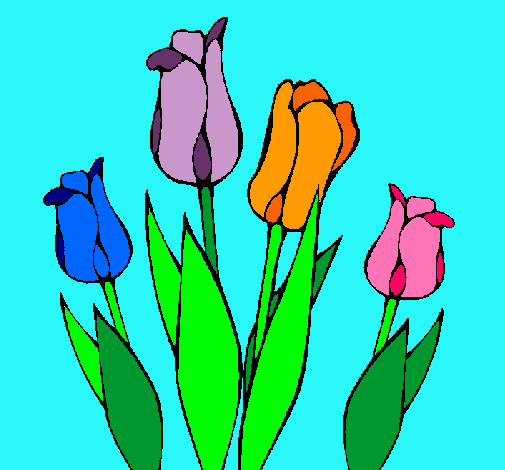 Tulipanes