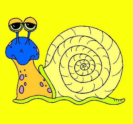 Caracol