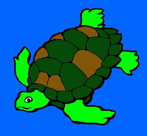 Tortuga