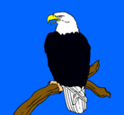 Dibujo Águila en una rama pintado por monchista