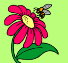 Dibujo Margarita con abeja pintado por nicki