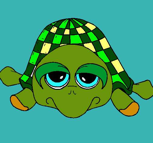 Tortuga