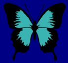 Dibujo Mariposa con alas negras pintado por palolis
