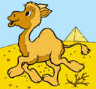 Dibujo Camello pintado por piriri