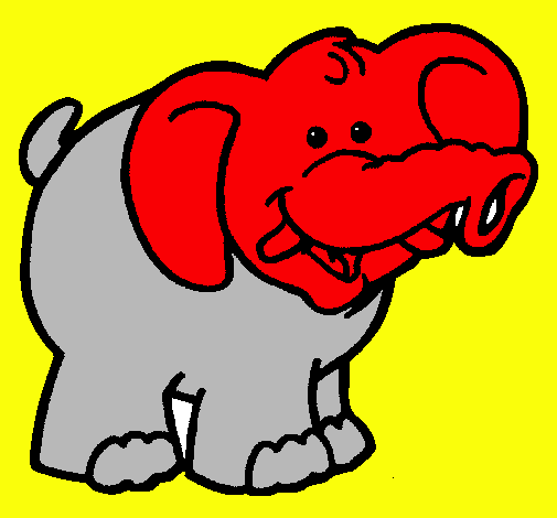 Elefante