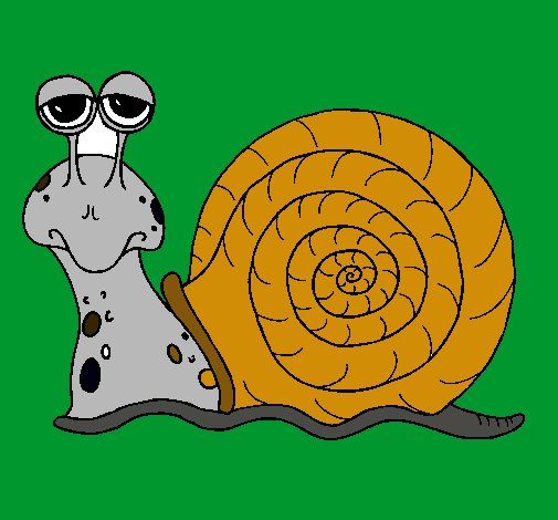 Caracol