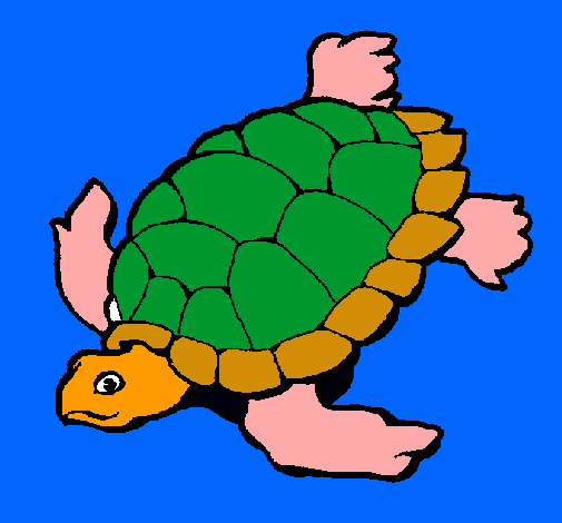 Tortuga