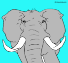 Dibujo Elefante africano pintado por gustavo