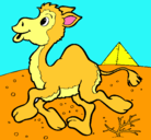 Dibujo Camello pintado por hugo