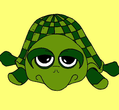 Tortuga