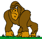 Dibujo Gorila pintado por victoruriel
