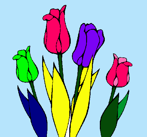 Tulipanes