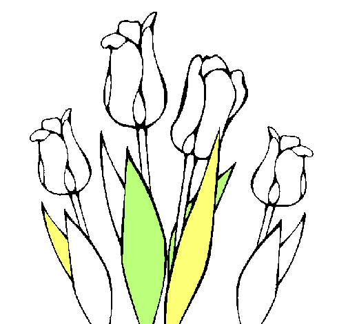 Tulipanes