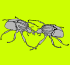 Dibujo Escarabajos pintado por eugenio