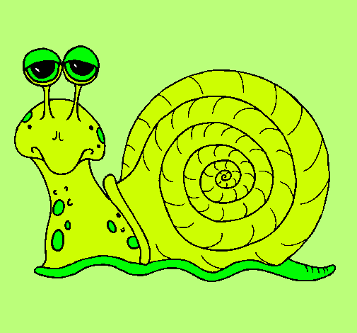 Caracol