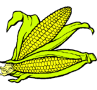 Dibujo Mazorca de maíz pintado por anii