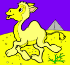 Dibujo Camello pintado por neyllod