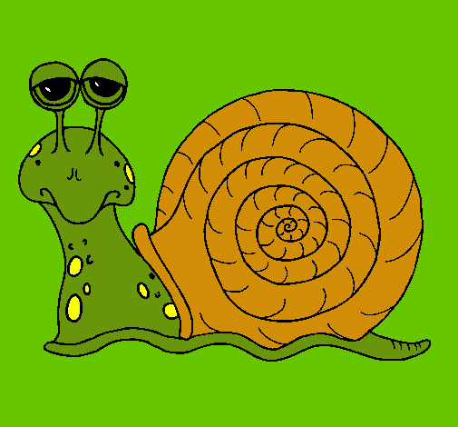 Caracol