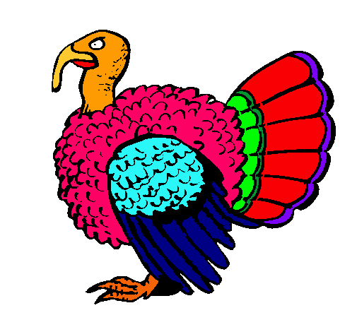 Pavo 