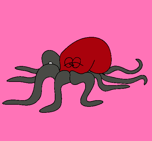 Pulpo