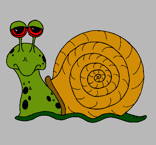 Caracol