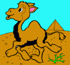 Dibujo Camello pintado por breiner
