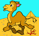 Dibujo Camello pintado por GARAZI
