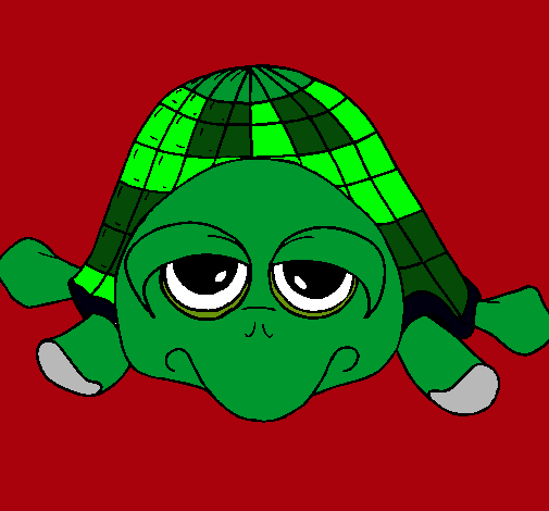 Tortuga