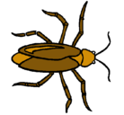 Dibujo Cucaracha pintado por flaviocesarsalascastro