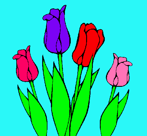 Tulipanes