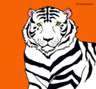 Dibujo Tigre pintado por josemanuel